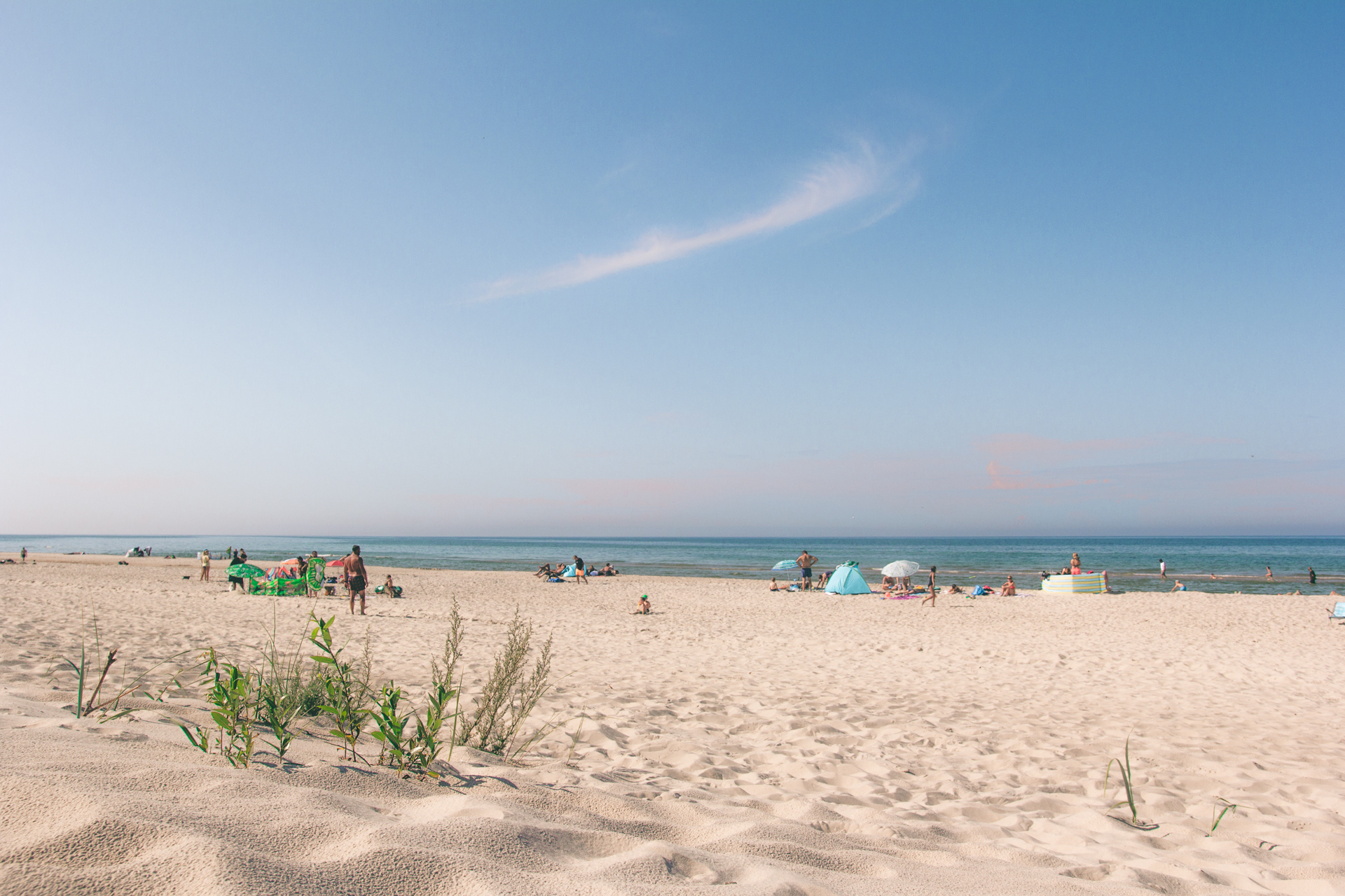 Free website template